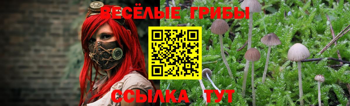 Баксан  Галлюциногенные грибы Cubensis  Галлюциногенные грибы MAGIC MUSHROOMS  Вход с VPN 