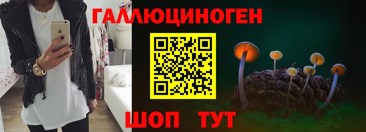 Галлюциногенные грибы Psilocybine cubensis Баксан